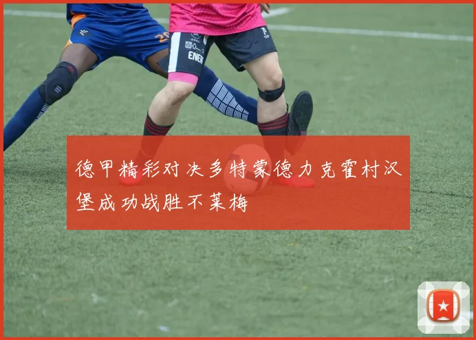德甲精彩对决多特蒙德力克霍村汉堡成功战胜不莱梅